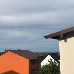 Mewa Władysławowo