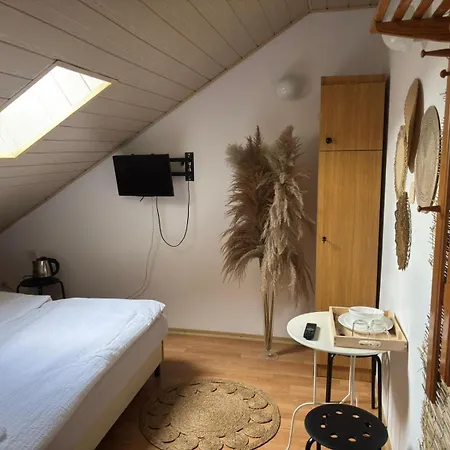 Mewa * Władysławowo