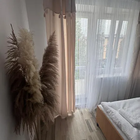 Mewa * Władysławowo