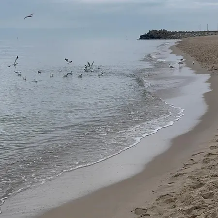 Mewa 홈스테이 Władysławowo